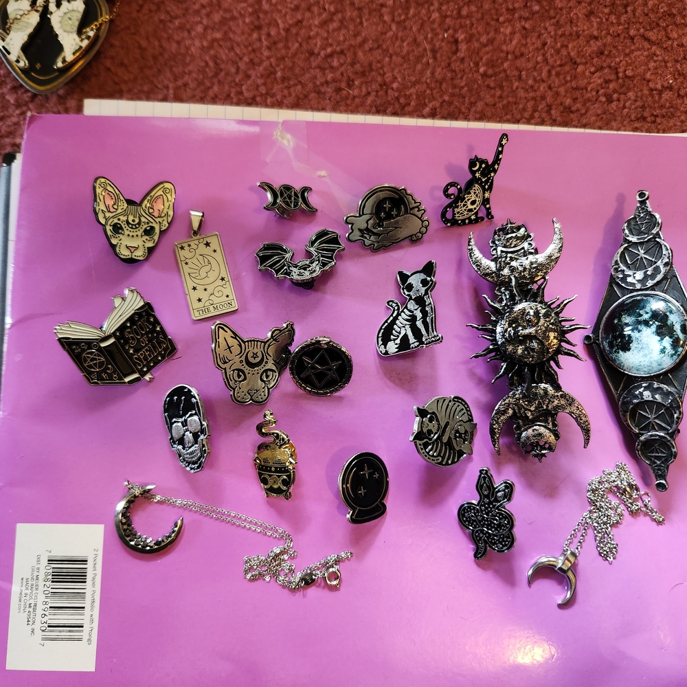 15 Assorted Enamel Pins With 2 Hairclips 2 Moon Necklaces 1 Moon Pendant